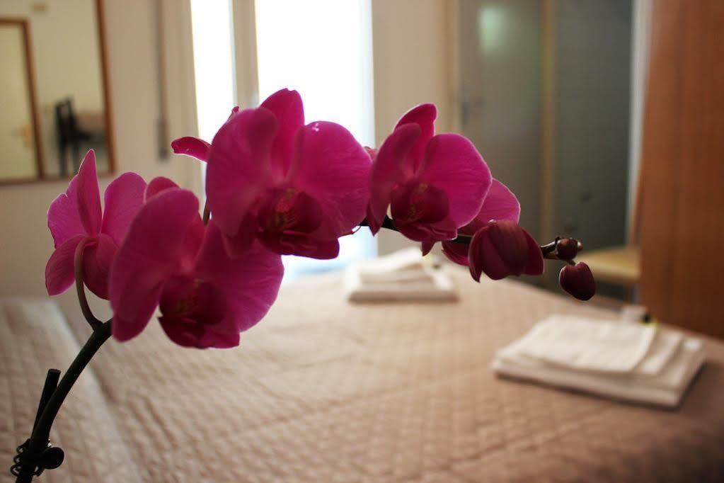 Hotel Leda 里米尼 外观 照片